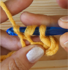 Ch2 2nd stitch TR 3 loops on hook