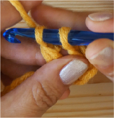 Ch2 2nd stitch TR 2 loops on hook