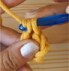 Ch2 2nd stitch TR Pull through 2 loops