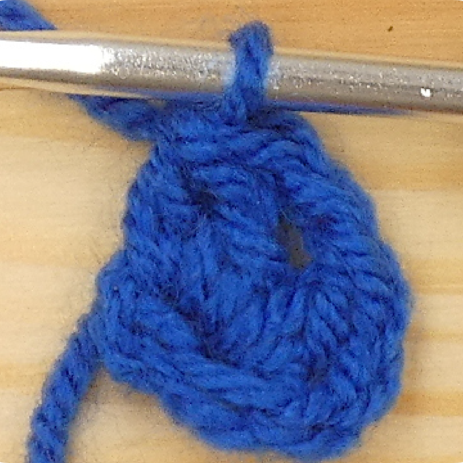 L15 10 C Ph R01b Katie McCrochet