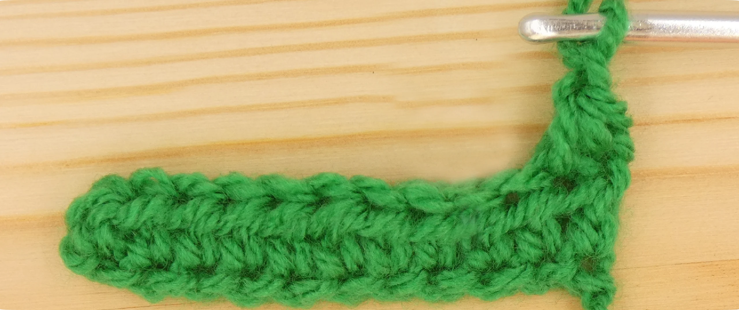 L7 14a Ph R01c 2 28 scaled Katie McCrochet