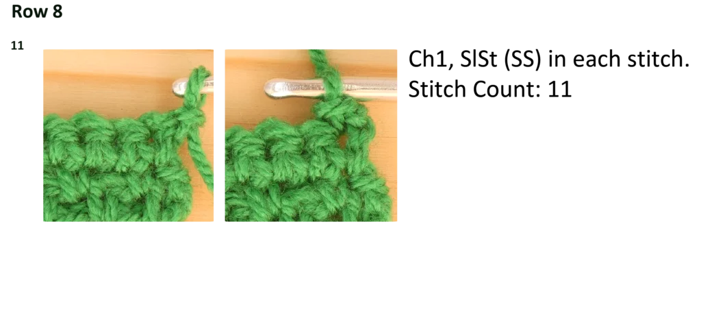 Moss Stitch Crochet Photo Instructions Row 8