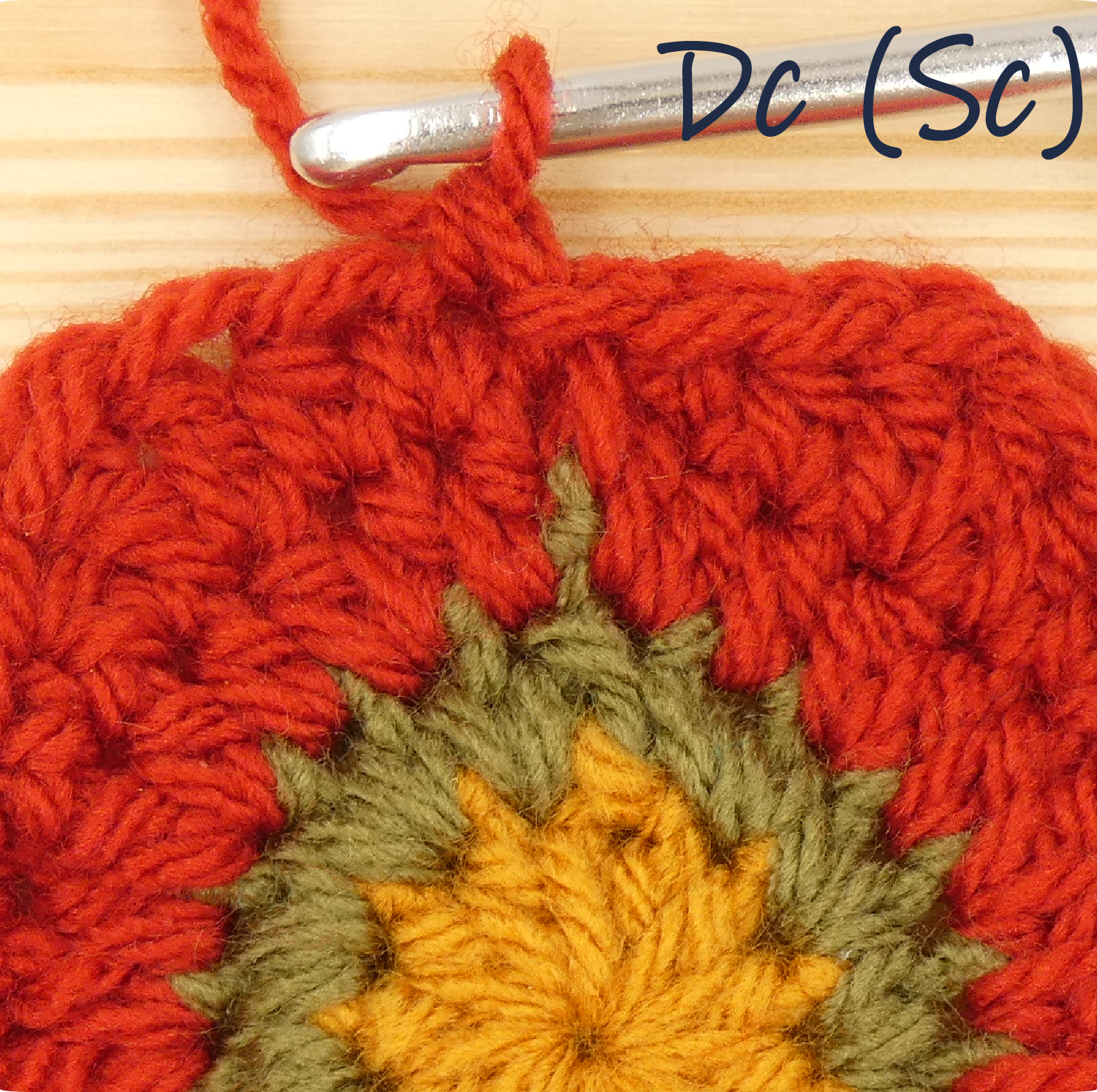 crochet pattern - easy crochet flower crochet photo pattern, round 5 dc, sc