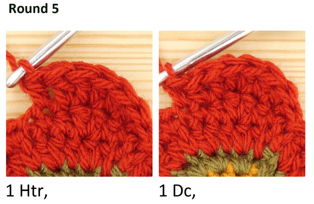 crochet pattern - easy crochet flower crochet photo pattern, round 5, Htr, dc, Hdc, sc