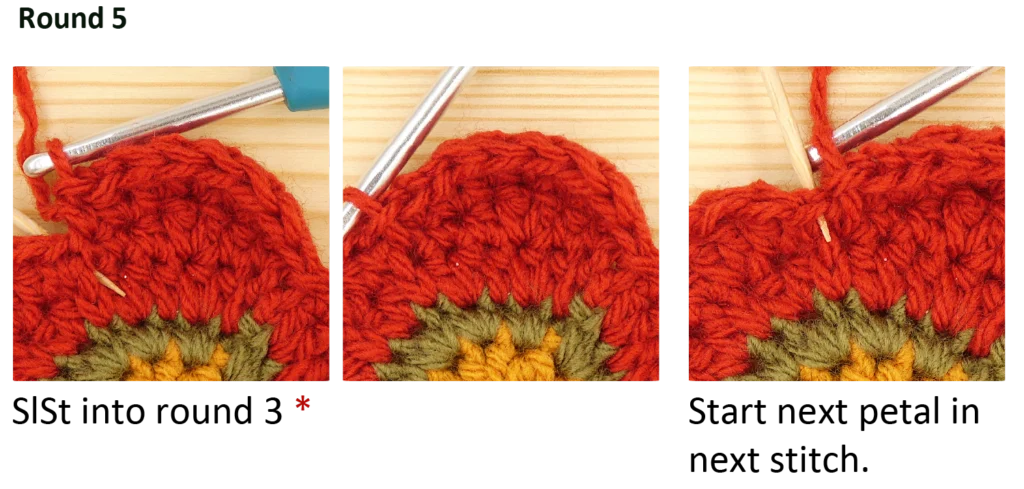 crochet pattern - easy crochet flower crochet photo pattern, round 5, last slst, ss