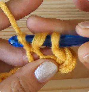 12 M1 TR 3 loops on hook 1 Katie McCrochet