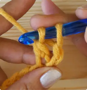 7 M1 TR 2 loops on hook 1 Katie McCrochet